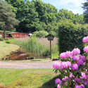 Weiher Campingplatz